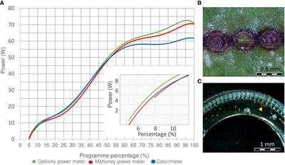 Stimulation of adventitious root formation by laser wounding in rose cuttings: A matter of energy and pattern